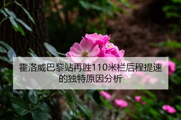 霍洛威巴黎站再胜110米栏后程提速的独特原因分析