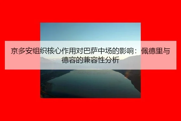 京多安组织核心作用对巴萨中场的影响：佩德里与德容的兼容性分析