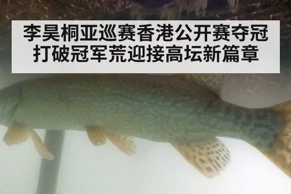 李昊桐亚巡赛香港公开赛夺冠打破冠军荒迎接高坛新篇章